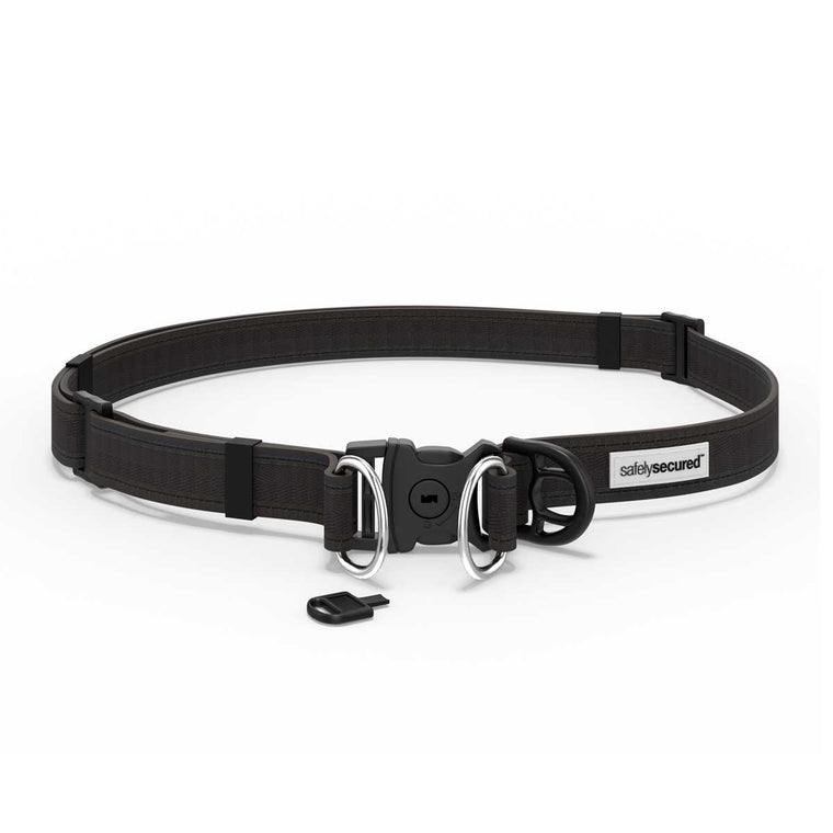 Safely Secured Anti-Theft Dog Snatching Belt