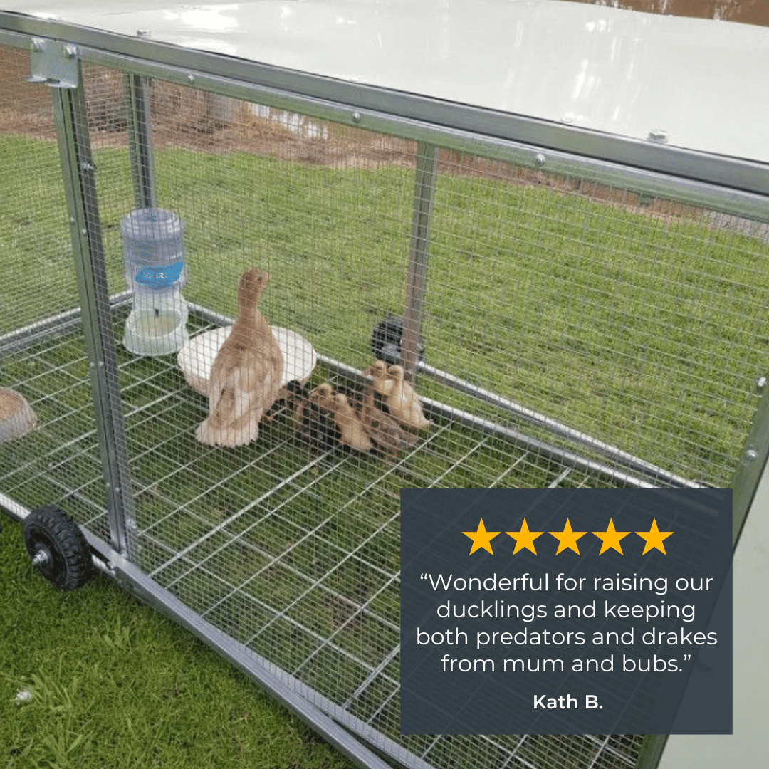 Mobile Chicken Coop / Chicken Tractor