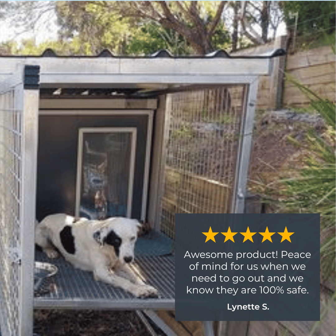 "Aussie Dog Kennels" Raised Dog Kennel - 3-Bay Add-on