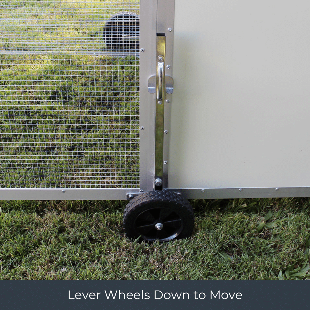 Mobile Chicken Coop / Chicken Tractor