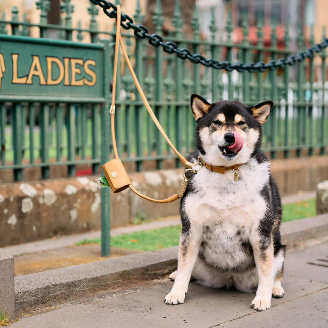 DOGLOC Poop Bag Holder — product image 4