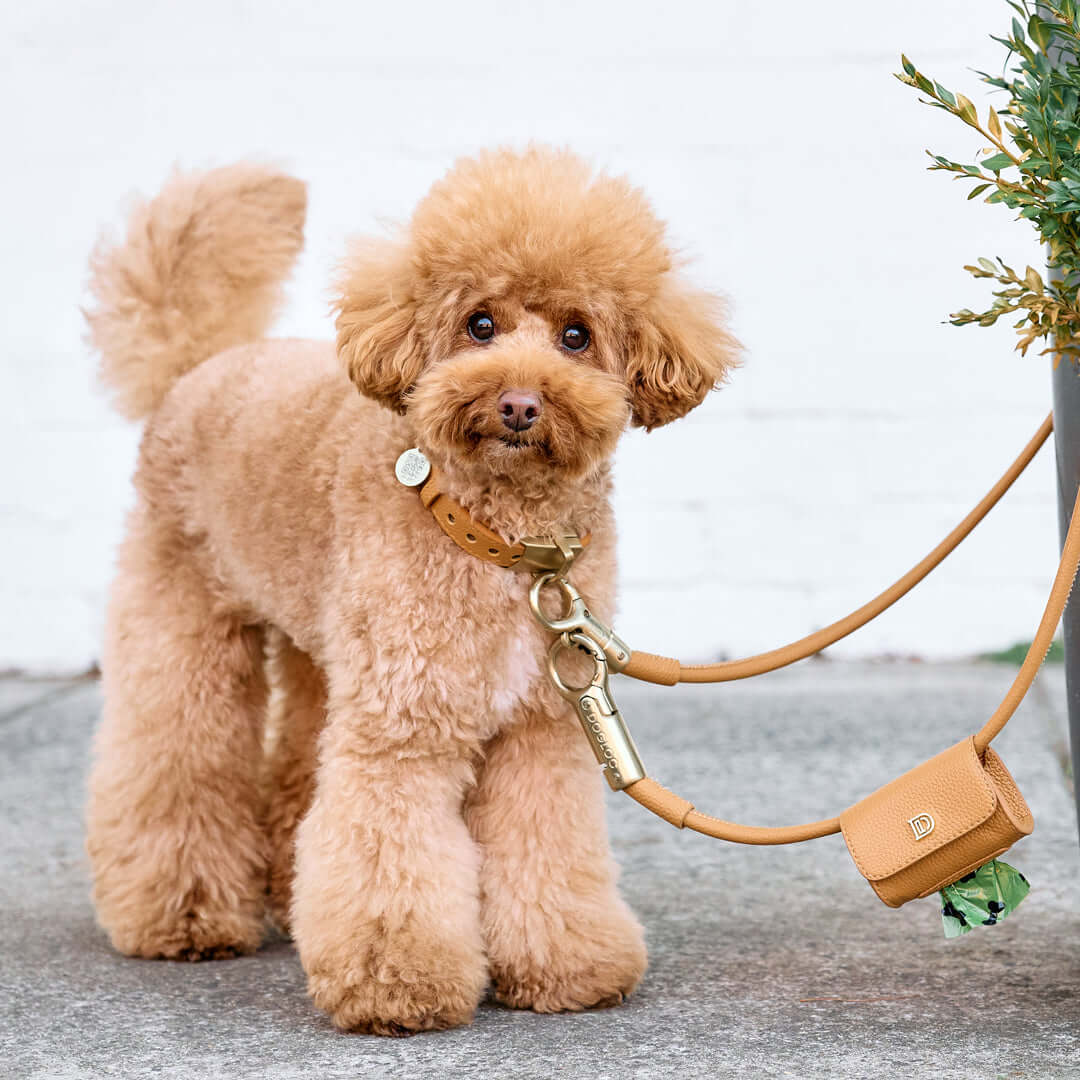 DOGLOC Poop Bag Holder — product image 7