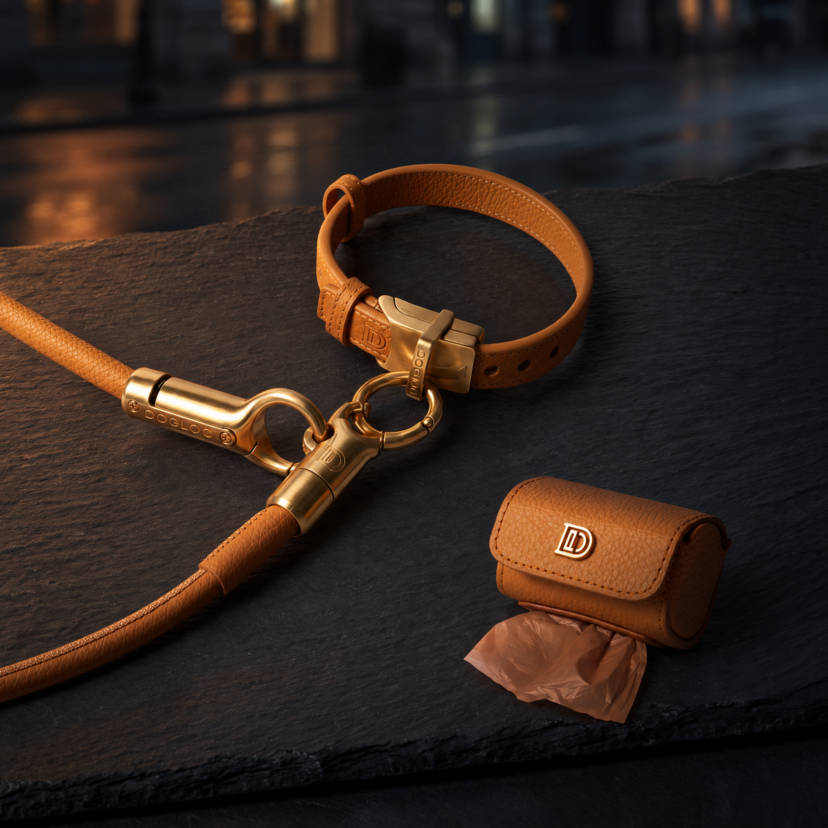 DOGLOC Everyday Walk Bundle with its included products in an alternate arrangement on the original premium studio background.