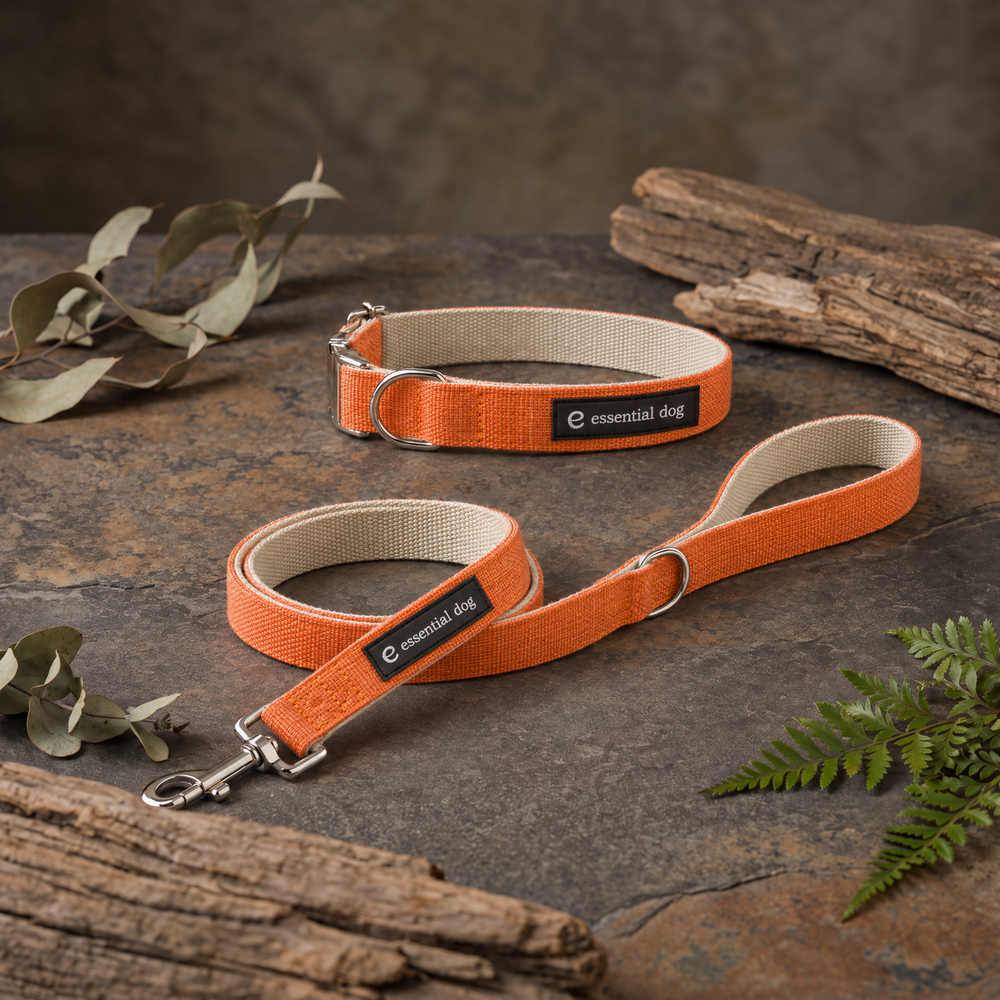 Hemp & Cotton Everyday Walk Bundle — Orange Burst with its included products in an alternate arrangement on the original premium studio background.