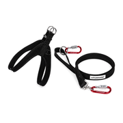 Safely Secured Everyday Security Bundle with its included security accessories on a clean white background.