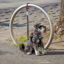 [Premium Quality Anti-Theft Dog Lead & Harness Online]-Safely Secured