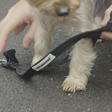 Essential Dog imported SafelySecured lockable harness demonstration 1