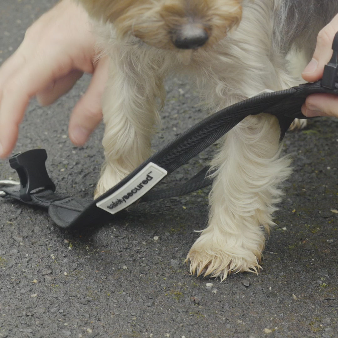 Essential Dog imported SafelySecured lockable harness demonstration 1