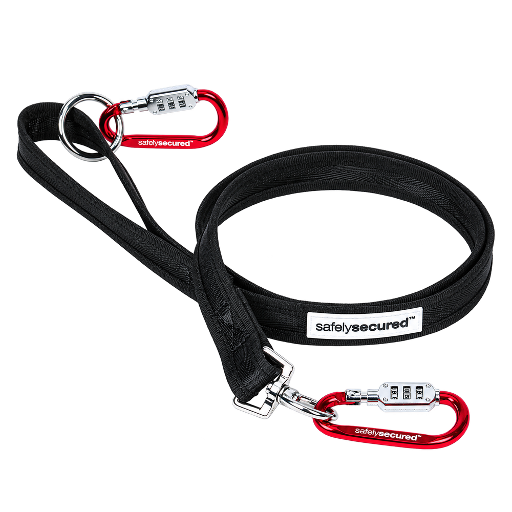 Safely Secured Anti-Theft Lockable Dog Leash