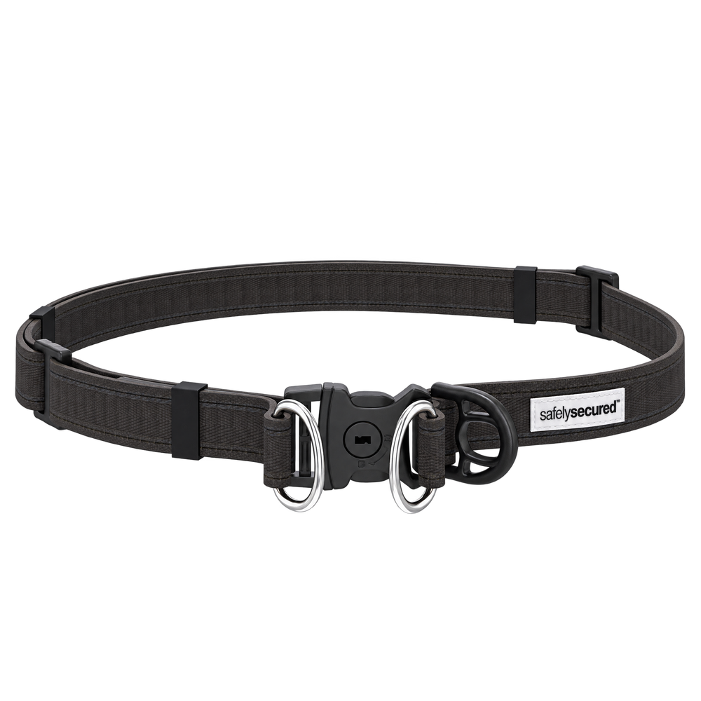 Safely Secured Anti-Theft Dog Snatching Belt