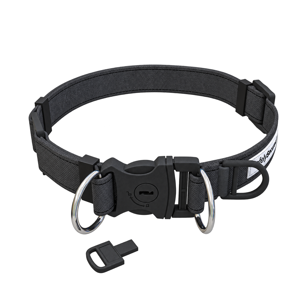 Safely Secured Anti-Theft Lockable Dog Collar